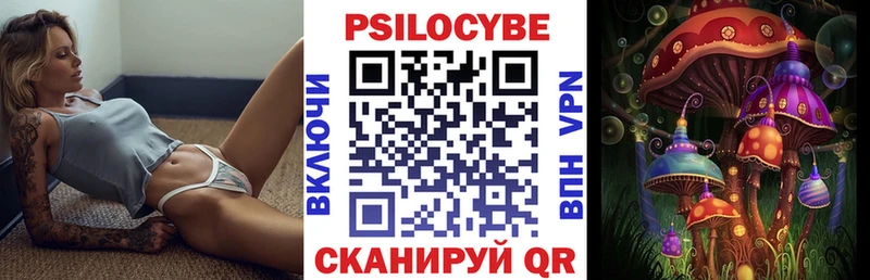 мега зеркало  дарнет шоп  Мезень  Галлюциногенные грибы Psilocybe 